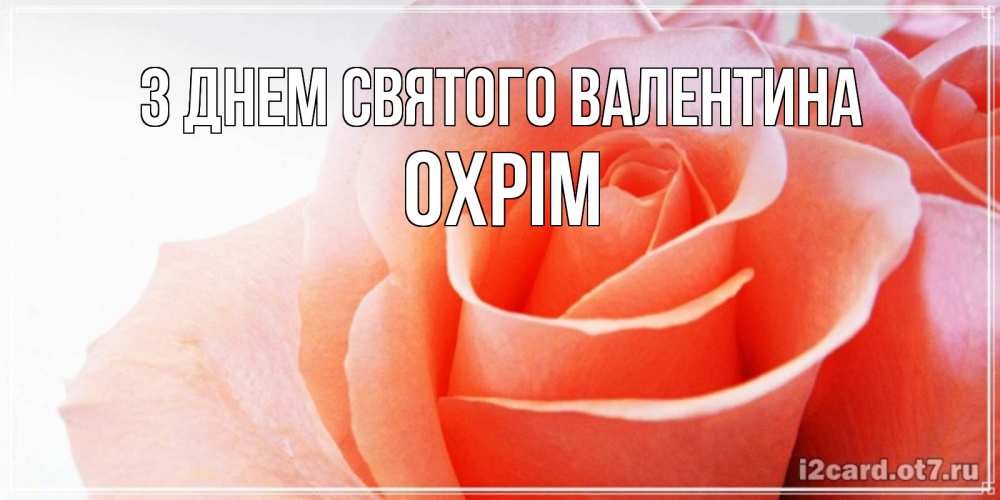 Открытка на каждый день з підписом, Охрім З Днем Святого Валентина открытка на день Святого Валентина с розовой розой Прикольна листівка з побажанням онлайн скачати безкоштовно 