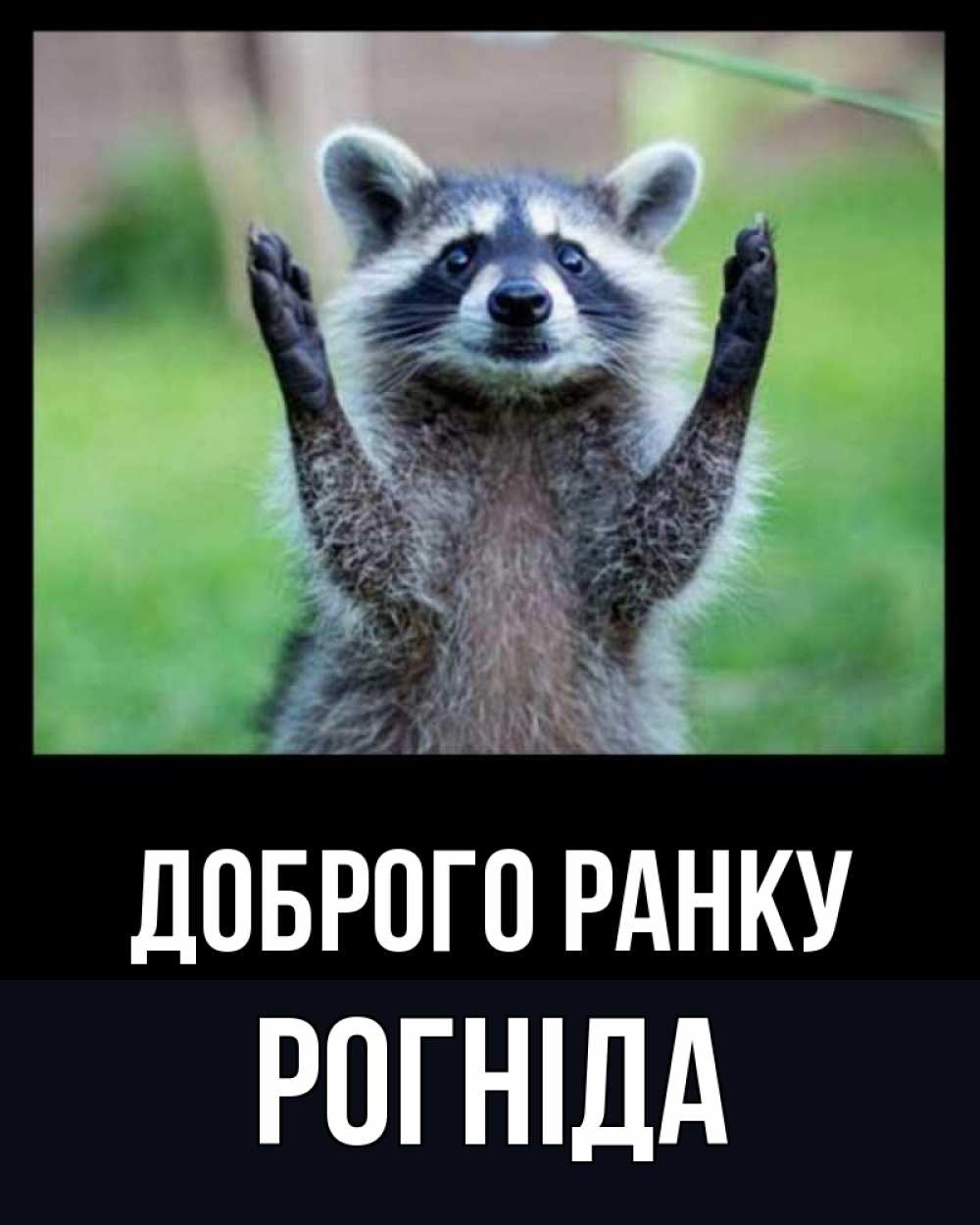 Открытка на каждый день з підписом, Рогніда Доброго ранку хорошее настроение утречком Прикольна листівка з побажанням онлайн скачати безкоштовно 