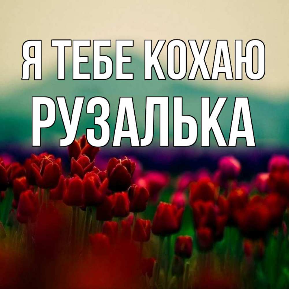 Открытка на каждый день з підписом, Рузалька Я тебе кохаю тюльпаны 4 Прикольна листівка з побажанням онлайн скачати безкоштовно 