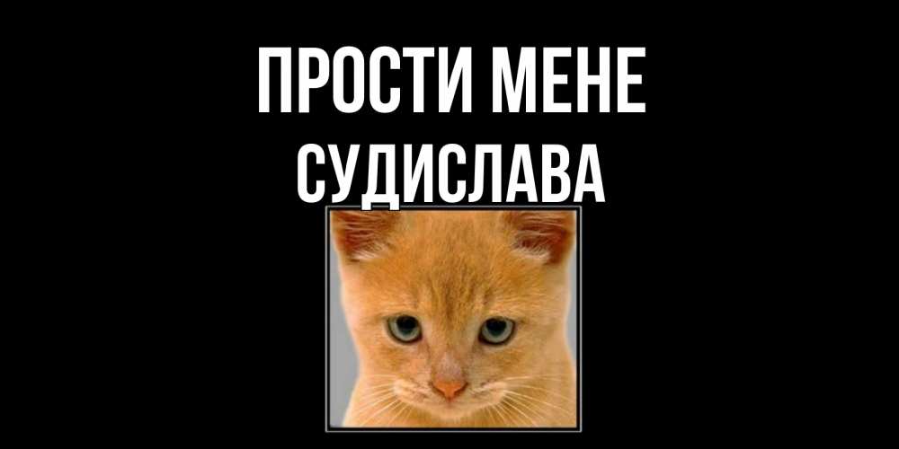 Открытка на каждый день з підписом, Судислава Прости мене рыжий грустный кот просит прощения Прикольна листівка з побажанням онлайн скачати безкоштовно 
