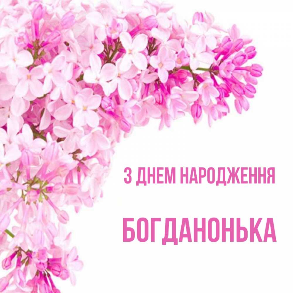 Открытка на каждый день з підписом, Богданонька З Днем народження Сирень на белом фоне Прикольна листівка з побажанням онлайн скачати безкоштовно 