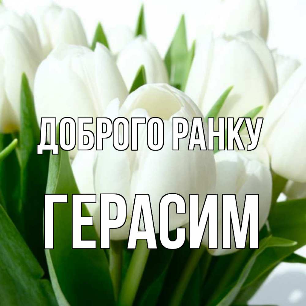 Открытка на каждый день з підписом, Герасим Доброго ранку открытки на каждый день по именам Прикольна листівка з побажанням онлайн скачати безкоштовно 