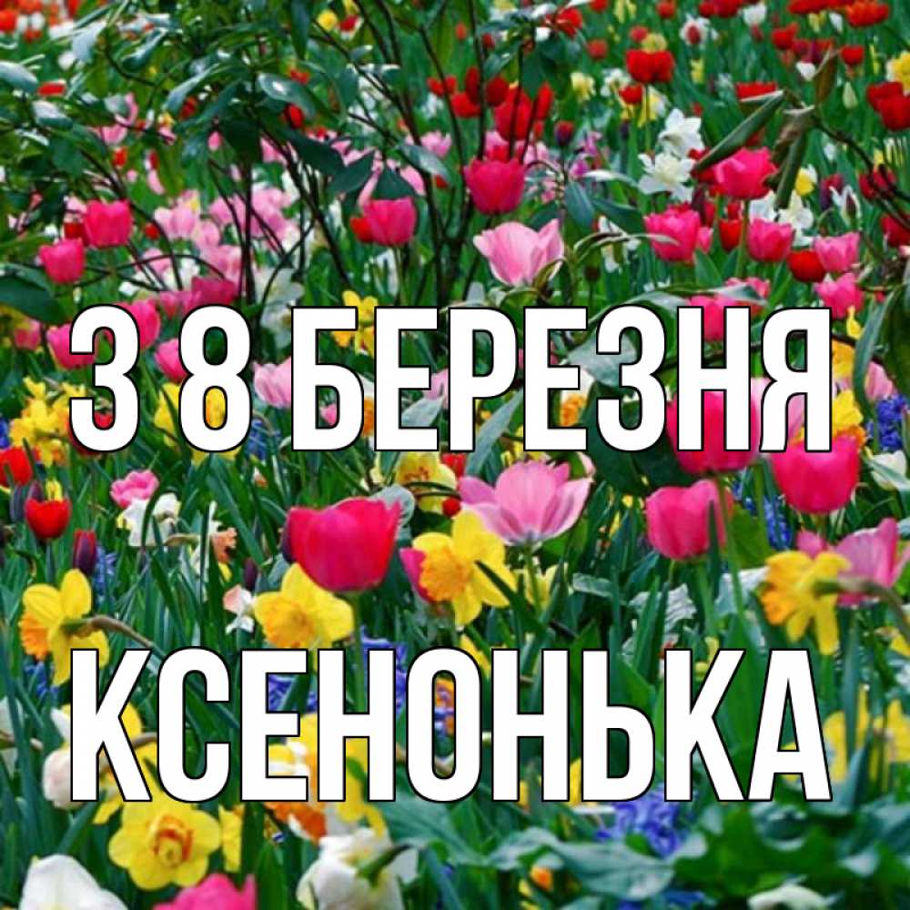 Открытка на каждый день з підписом, Ксенонька З 8 БЕРЕЗНЯ с международным женским днем поздравления для женщины Прикольна листівка з побажанням онлайн скачати безкоштовно 