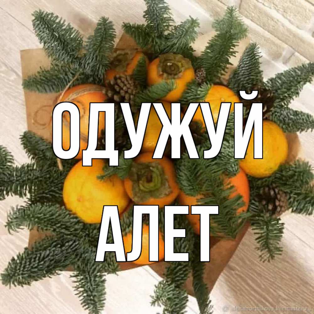 Открытка на каждый день з підписом, Алет Одужуй апельсины и хурьма Прикольна листівка з побажанням онлайн скачати безкоштовно 