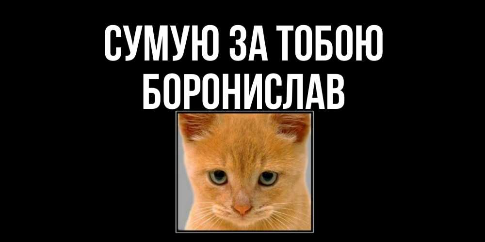 Открытка на каждый день з підписом, Боронислав Сумую за тобою открытки рыжий котенок скучает по тебе Прикольна листівка з побажанням онлайн скачати безкоштовно 
