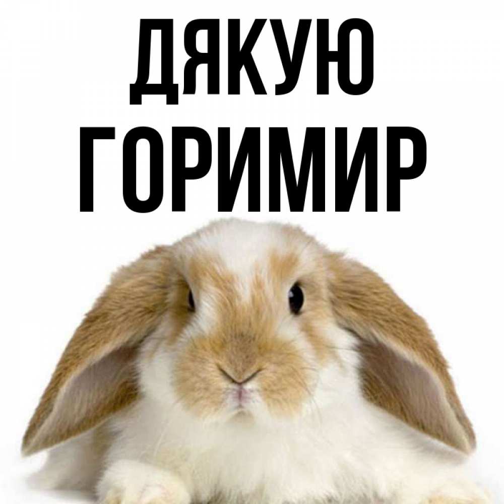 Открытка на каждый день з підписом, Горимир Дякую коричнево белый заяц Прикольна листівка з побажанням онлайн скачати безкоштовно 