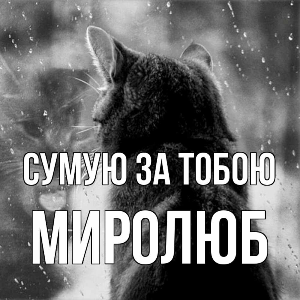 Открытка на каждый день з підписом, Миролюб Сумую за тобою скорее ко мне приходи 1 Прикольна листівка з побажанням онлайн скачати безкоштовно 