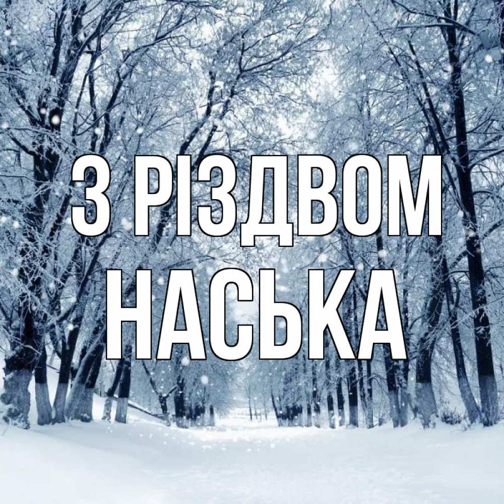 Открытка на каждый день з підписом, Наська З Різдвом снег, лес, парк Прикольна листівка з побажанням онлайн скачати безкоштовно 