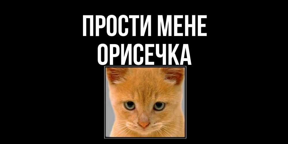 Открытка на каждый день з підписом, Орисечка Прости мене рыжий грустный кот просит прощения Прикольна листівка з побажанням онлайн скачати безкоштовно 