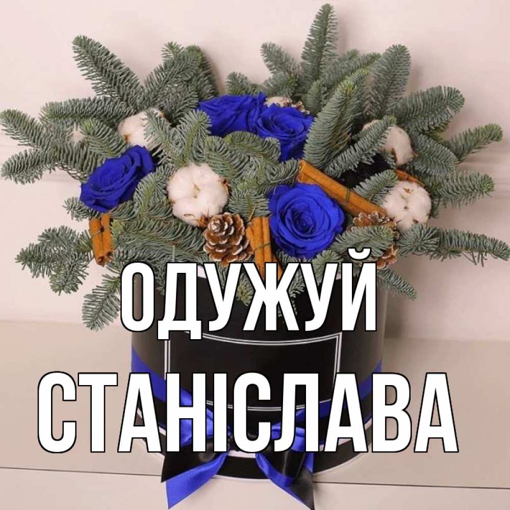 Открытка на каждый день з підписом, Станіслава Одужуй короче кто то загрузил эти шишки Прикольна листівка з побажанням онлайн скачати безкоштовно 