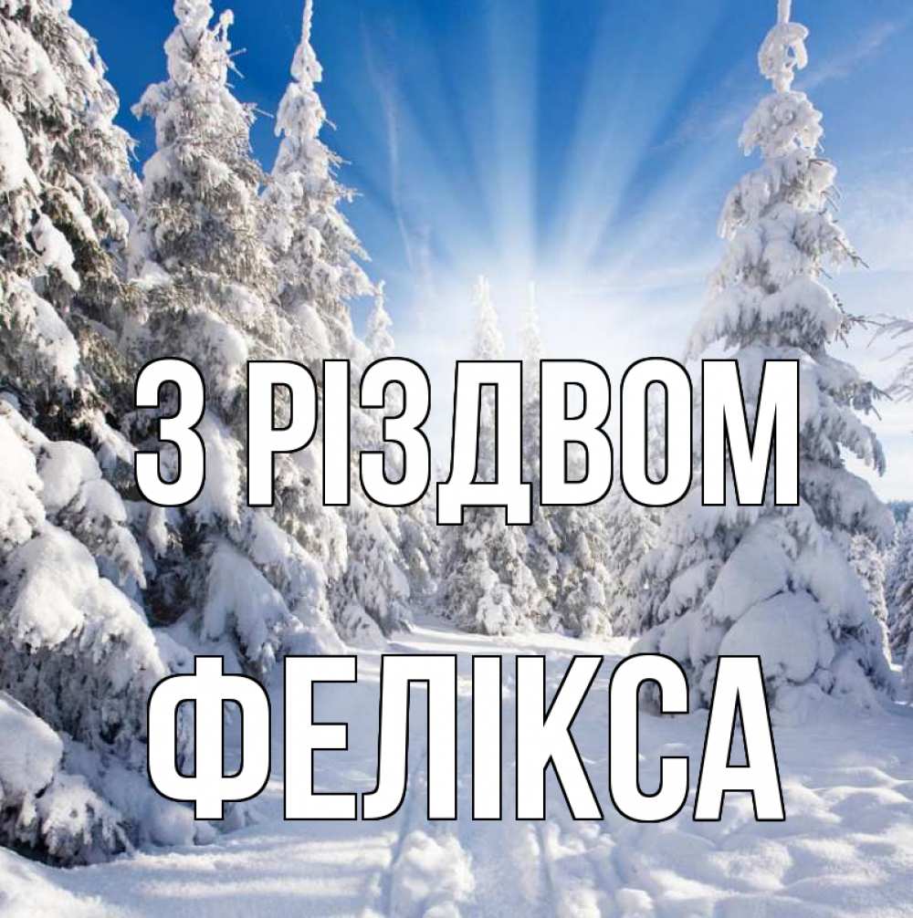 Открытка на каждый день з підписом, Фелікса З Різдвом зима, лес Прикольна листівка з побажанням онлайн скачати безкоштовно 