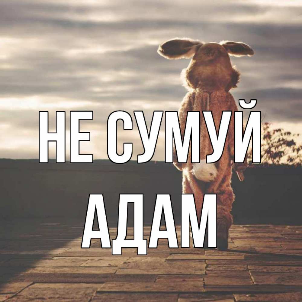 Открытка на каждый день з підписом, Адам Не сумуй со спины Прикольна листівка з побажанням онлайн скачати безкоштовно 