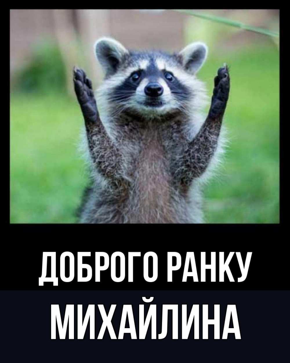 Открытка на каждый день з підписом, Михайлина Доброго ранку хорошее настроение утречком Прикольна листівка з побажанням онлайн скачати безкоштовно 