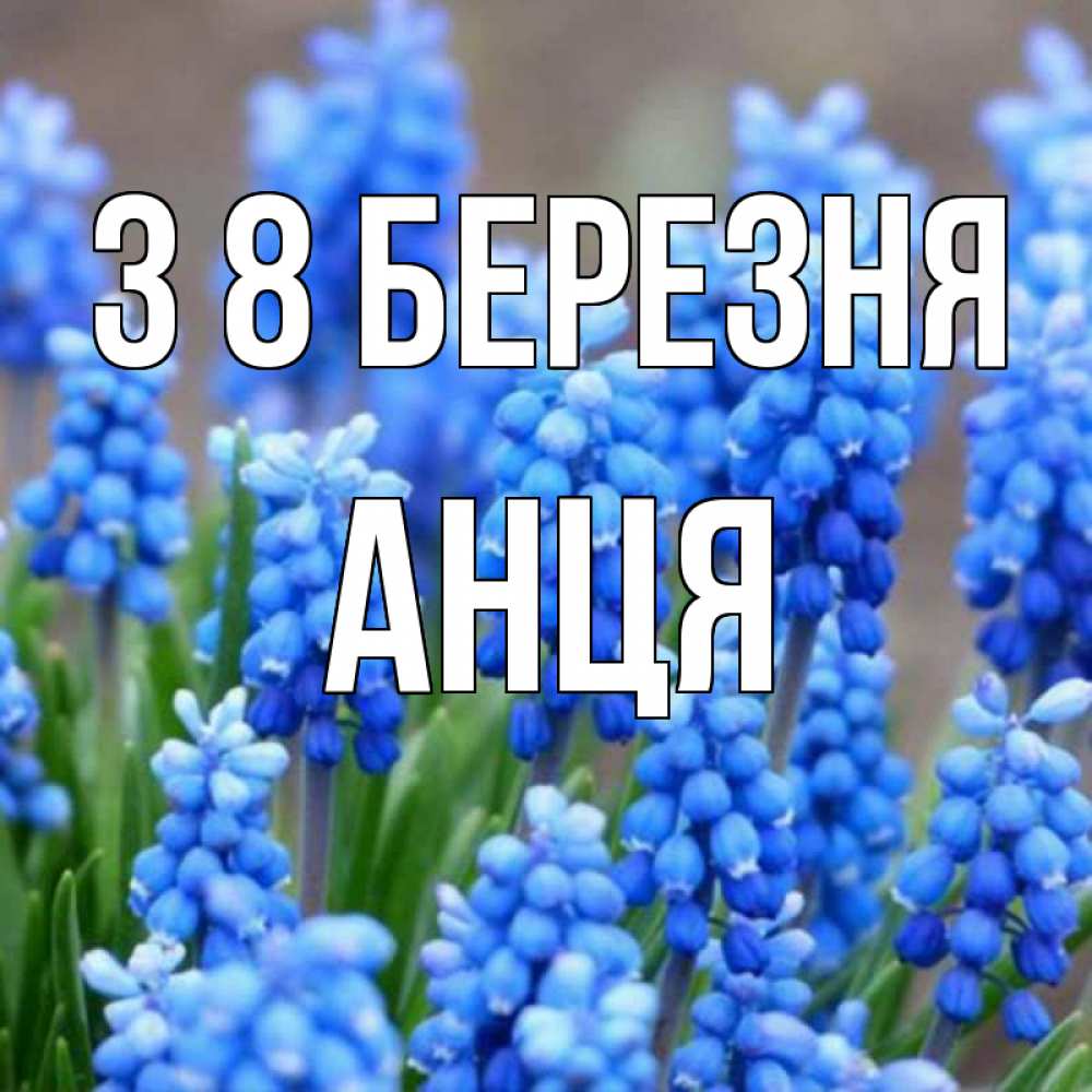 Открытка на каждый день з підписом, Анця З 8 БЕРЕЗНЯ Поздравительная открытка для женщин с цветами на праздничную дату Прикольна листівка з побажанням онлайн скачати безкоштовно 