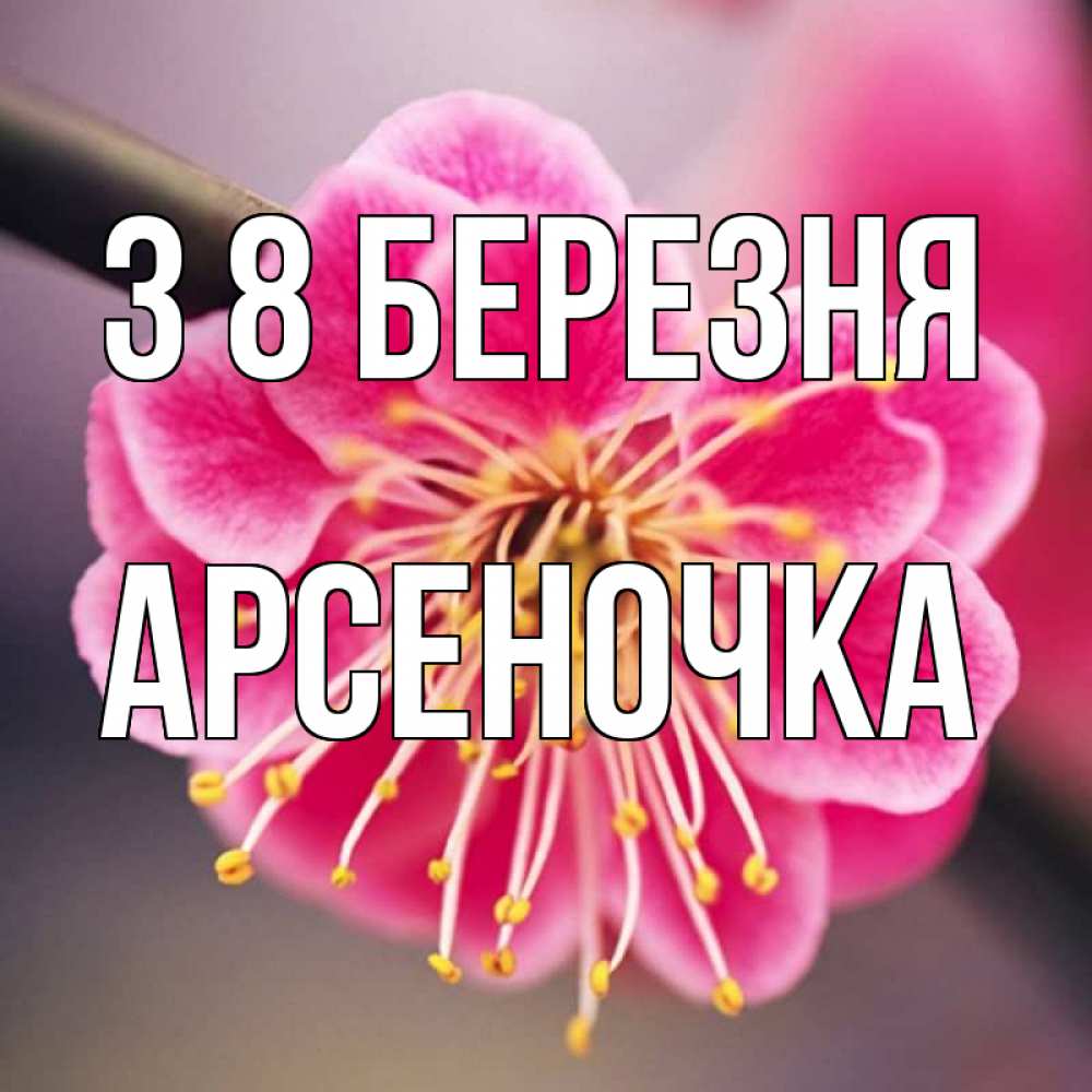 Открытка на каждый день з підписом, Арсеночка З 8 БЕРЕЗНЯ цветы Прикольна листівка з побажанням онлайн скачати безкоштовно 