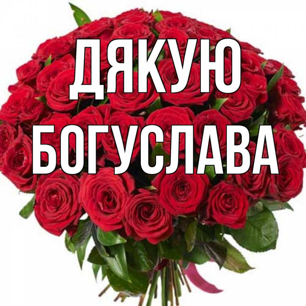 Открытка на каждый день з підписом, Богуслава Дякую букет красных роз Прикольна листівка з побажанням онлайн скачати безкоштовно 