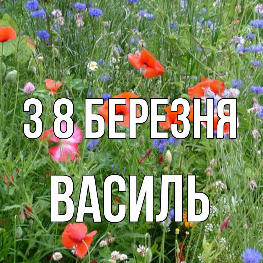 Открытка на каждый день з підписом, Василь З 8 БЕРЕЗНЯ международный женский день 4 Прикольна листівка з побажанням онлайн скачати безкоштовно 