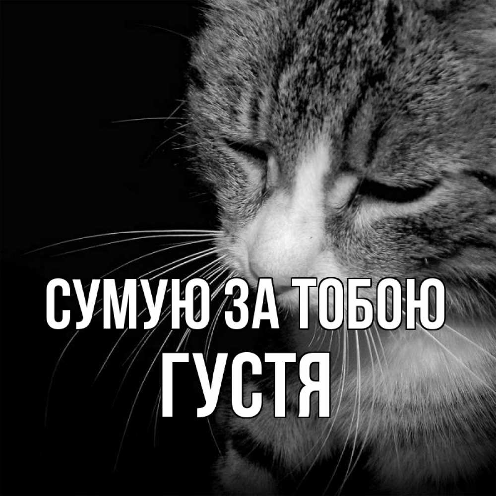 Открытка на каждый день з підписом, Густя Сумую за тобою мне скучно Прикольна листівка з побажанням онлайн скачати безкоштовно 