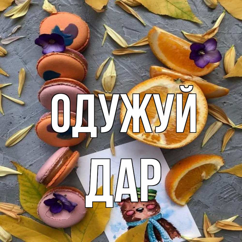 Открытка на каждый день з підписом, Дар Одужуй не болейте Прикольна листівка з побажанням онлайн скачати безкоштовно 
