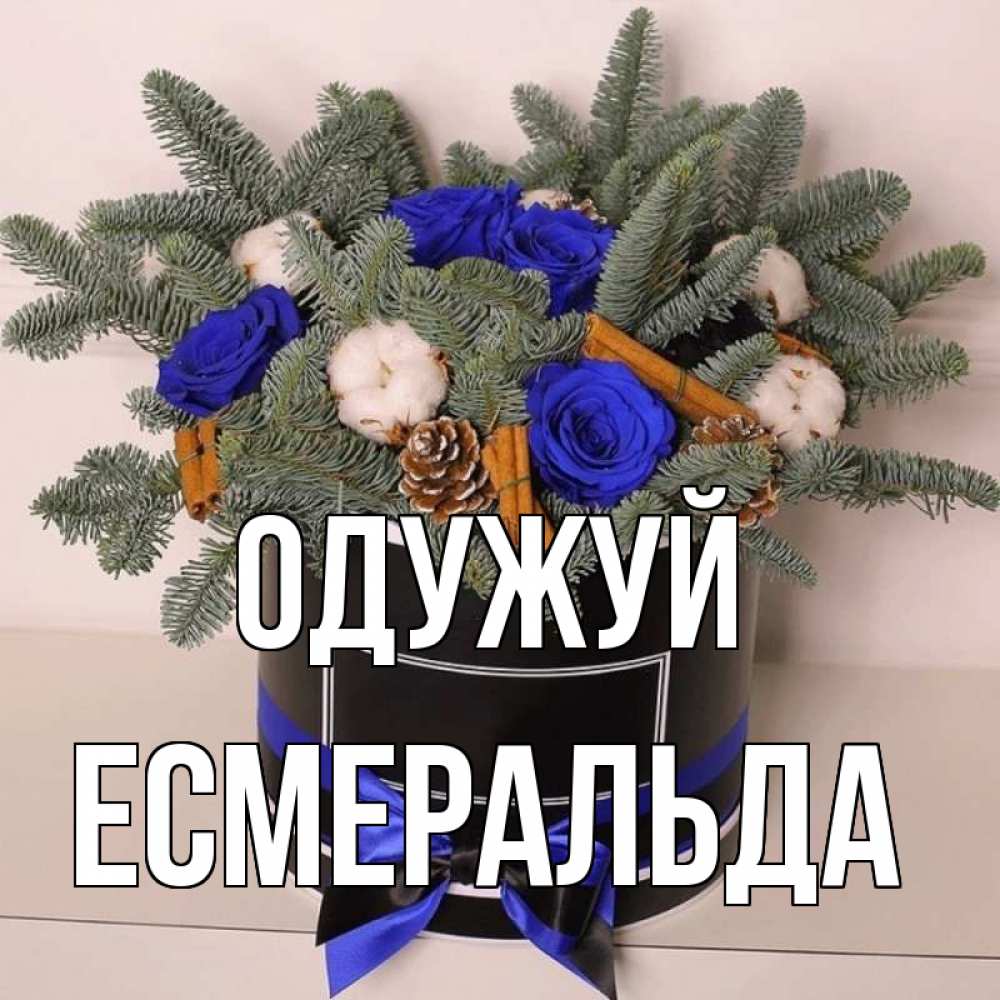 Открытка на каждый день з підписом, Есмеральда Одужуй короче кто то загрузил эти шишки Прикольна листівка з побажанням онлайн скачати безкоштовно 