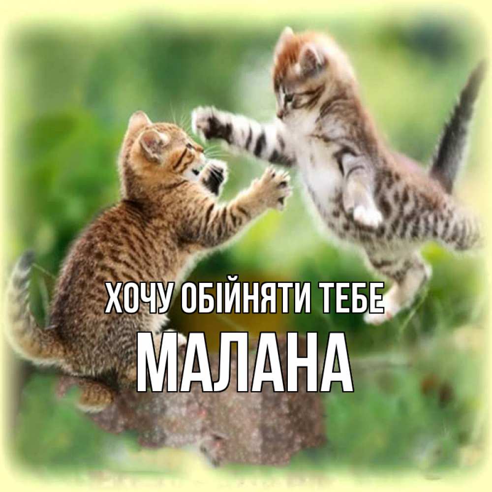 Открытка на каждый день з підписом, Малана Хочу обійняти тебе игры котят Прикольна листівка з побажанням онлайн скачати безкоштовно 