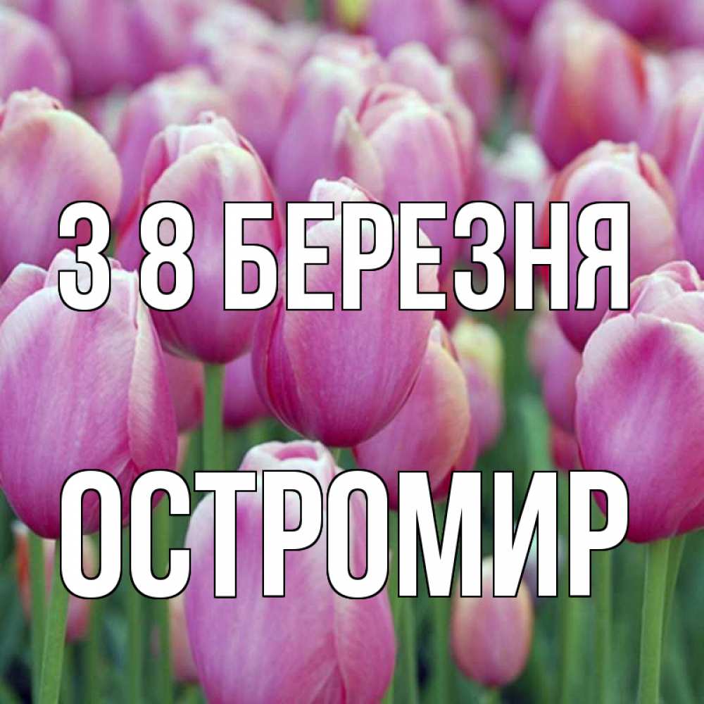 Открытка на каждый день з підписом, Остромир З 8 БЕРЕЗНЯ на международный женский день 3 Прикольна листівка з побажанням онлайн скачати безкоштовно 