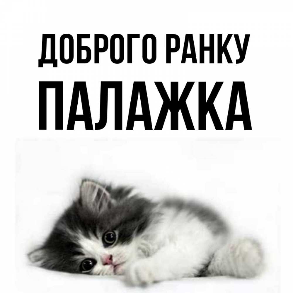Открытка на каждый день з підписом, Палажка Доброго ранку кот лапки Прикольна листівка з побажанням онлайн скачати безкоштовно 