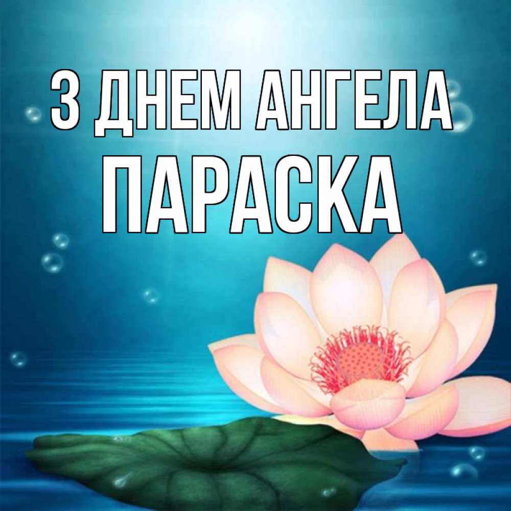 Открытка на каждый день з підписом, Параска З Днем ангела кувшинка Прикольна листівка з побажанням онлайн скачати безкоштовно 