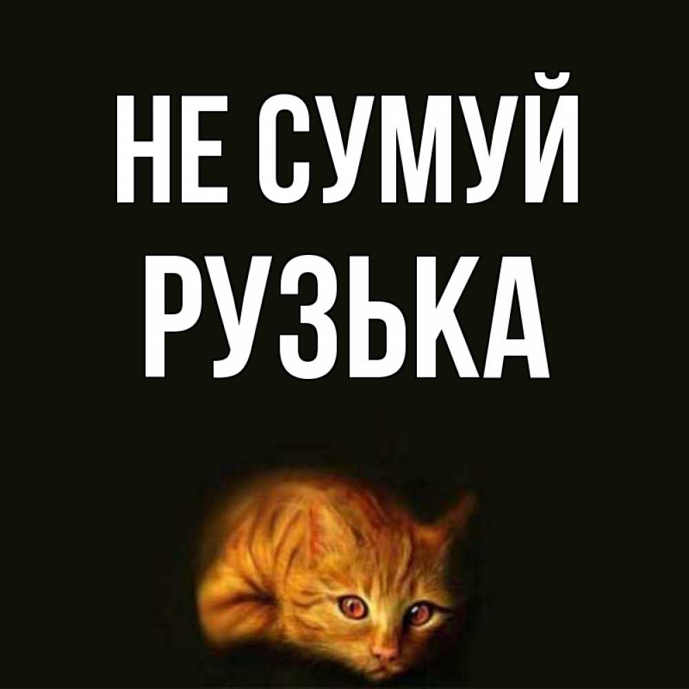 Открытка на каждый день з підписом, Рузька Не сумуй лежащий кот в темноте Прикольна листівка з побажанням онлайн скачати безкоштовно 