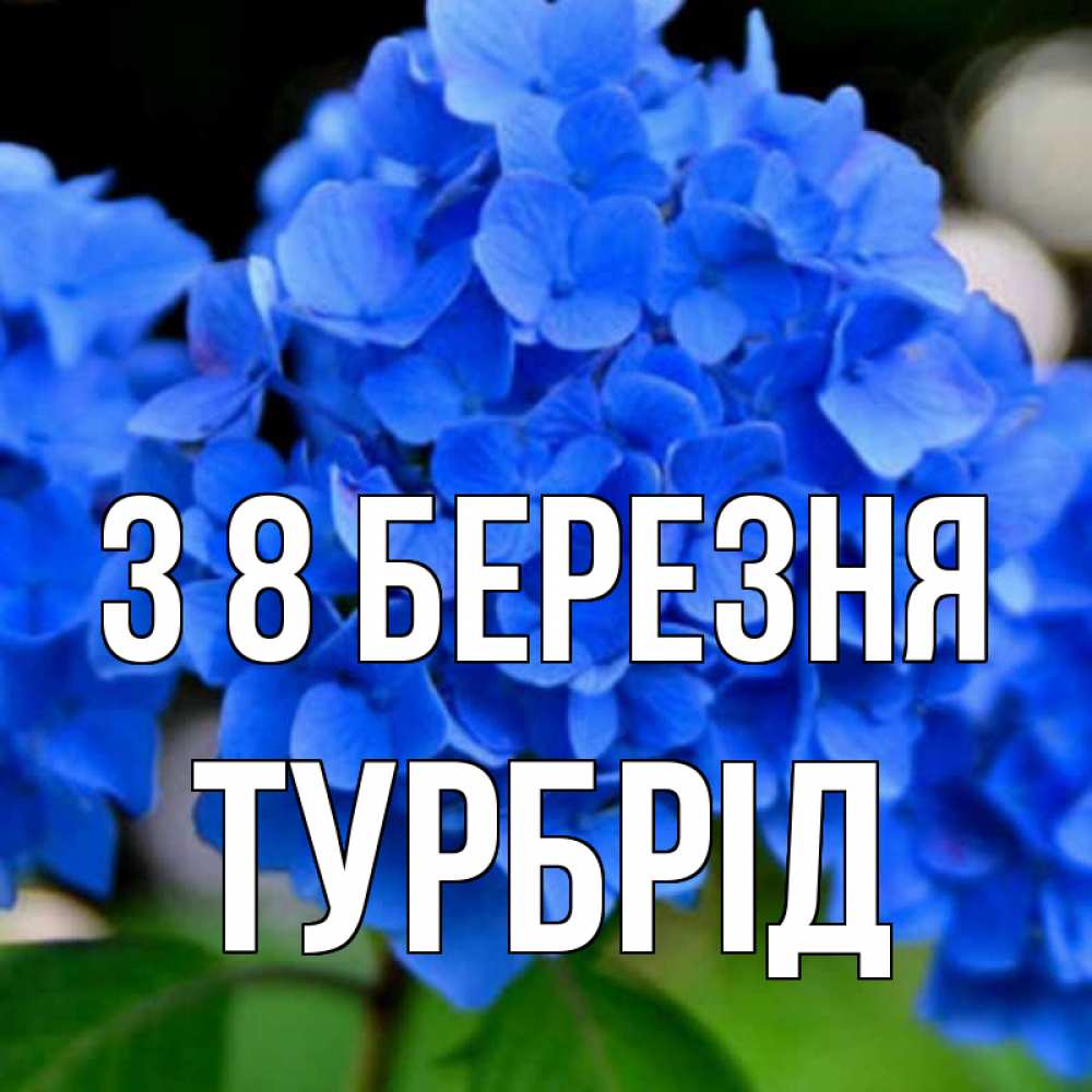 Открытка на каждый день з підписом, Турбрід З 8 БЕРЕЗНЯ синие цветы Прикольна листівка з побажанням онлайн скачати безкоштовно 