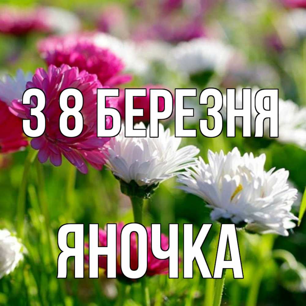 Открытка на каждый день з підписом, Яночка З 8 БЕРЕЗНЯ международный женский день 1 Прикольна листівка з побажанням онлайн скачати безкоштовно 