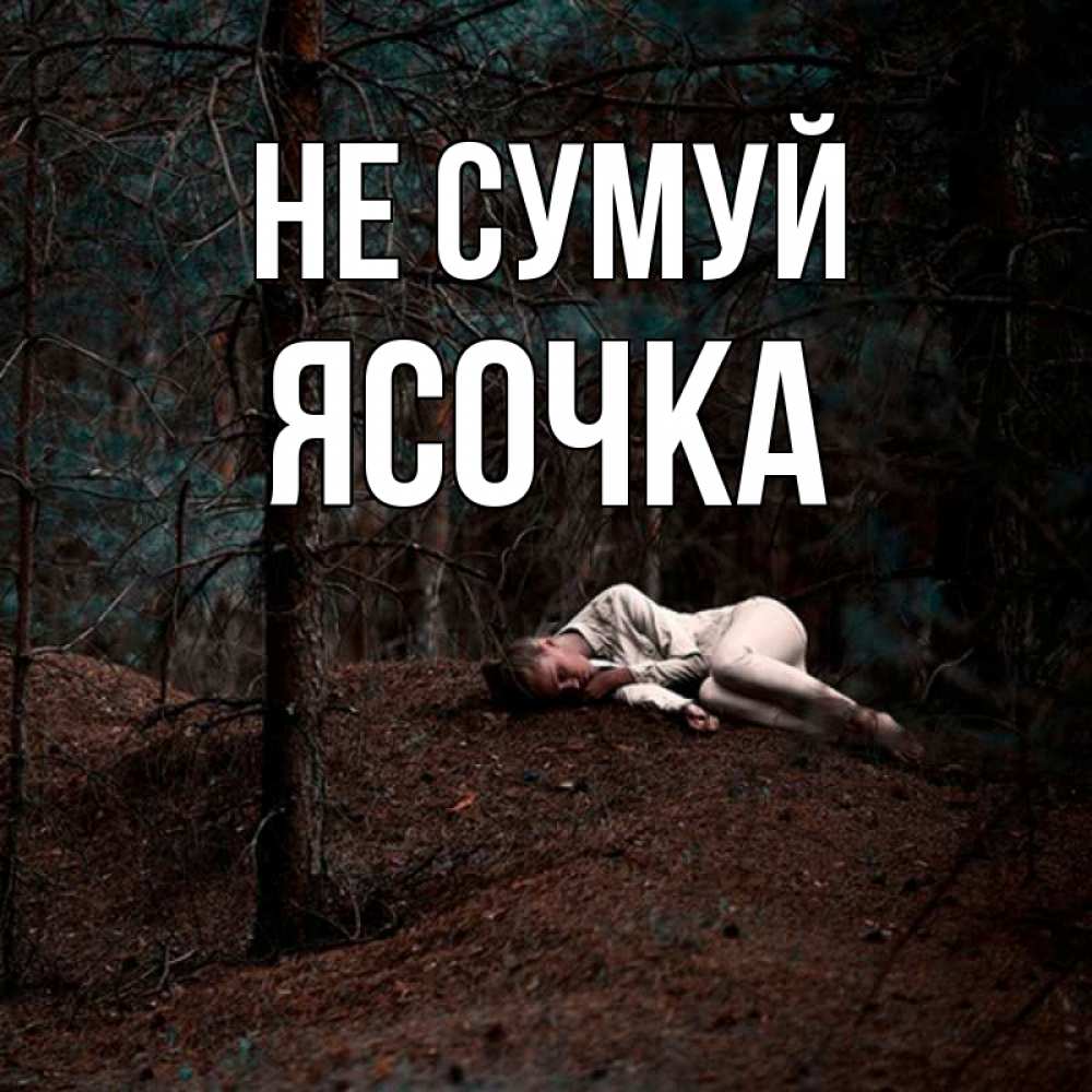 Открытка на каждый день з підписом, Ясочка Не сумуй лес Прикольна листівка з побажанням онлайн скачати безкоштовно 