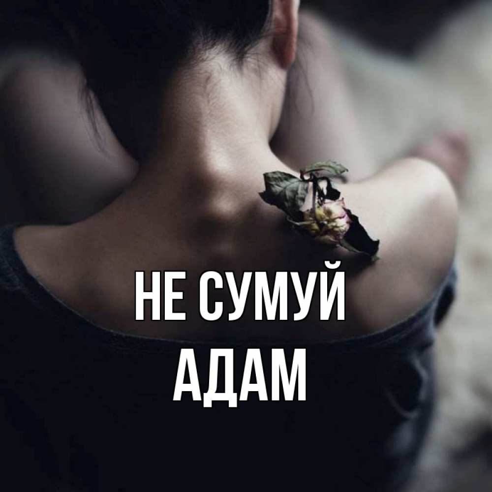 Открытка на каждый день з підписом, Адам Не сумуй девушка со спины Прикольна листівка з побажанням онлайн скачати безкоштовно 