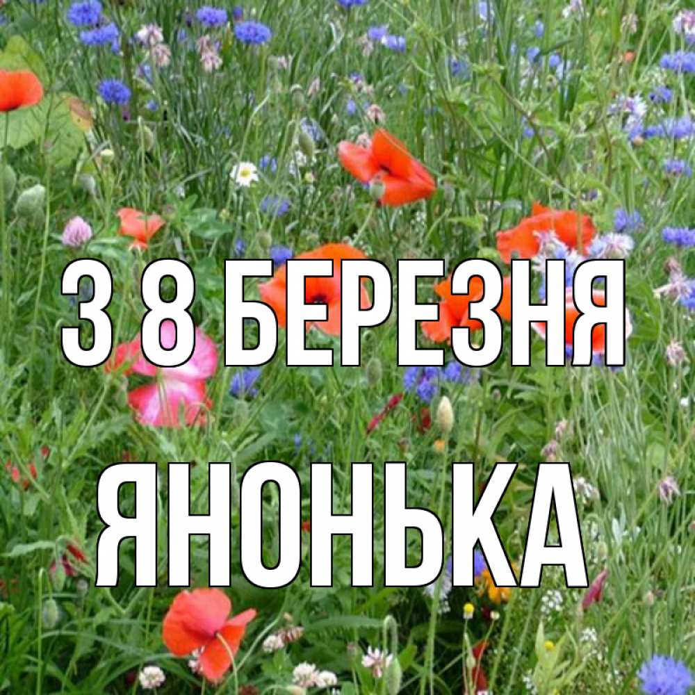 Открытка на каждый день з підписом, Янонька З 8 БЕРЕЗНЯ международный женский день 4 Прикольна листівка з побажанням онлайн скачати безкоштовно 