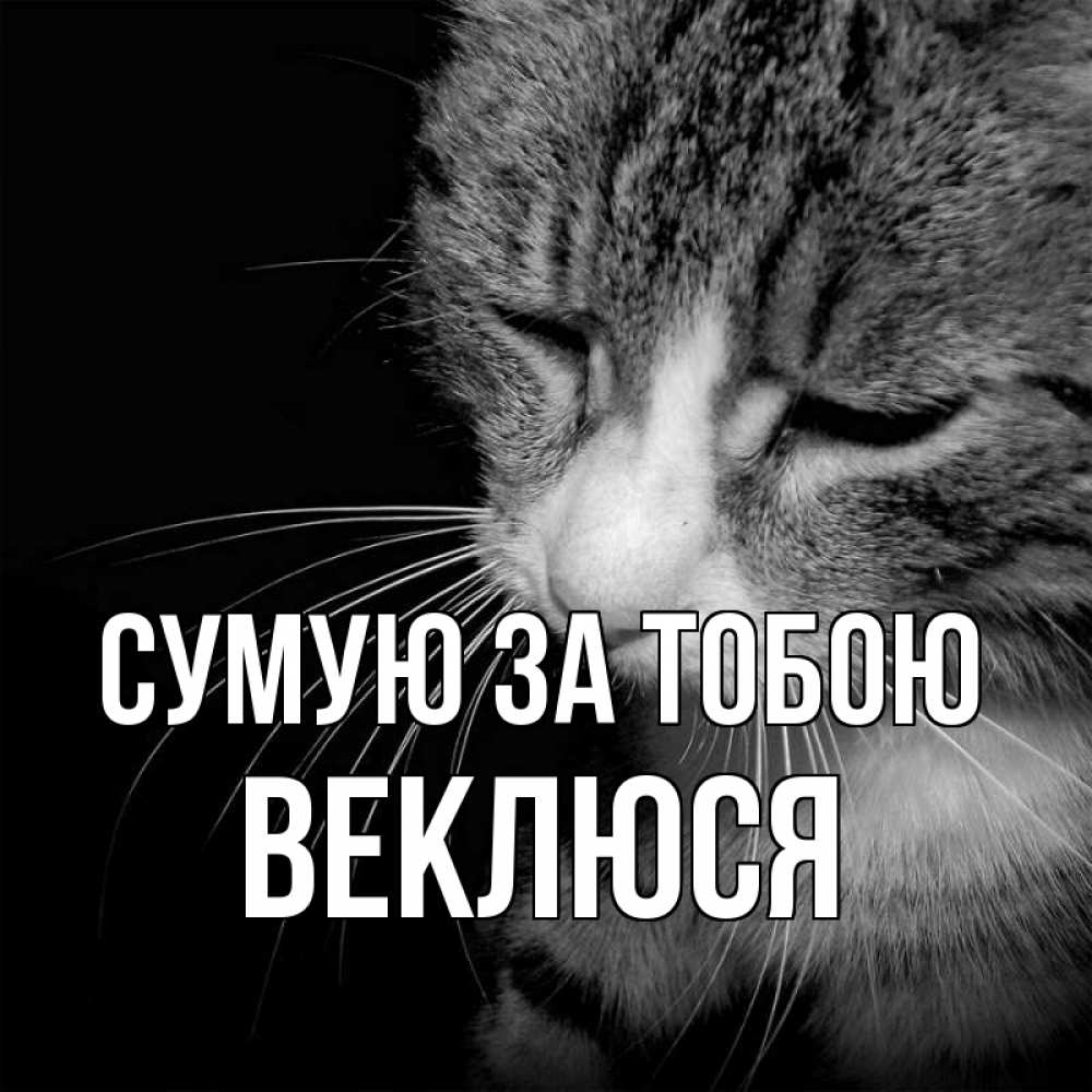 Открытка на каждый день з підписом, Веклюся Сумую за тобою мне скучно Прикольна листівка з побажанням онлайн скачати безкоштовно 