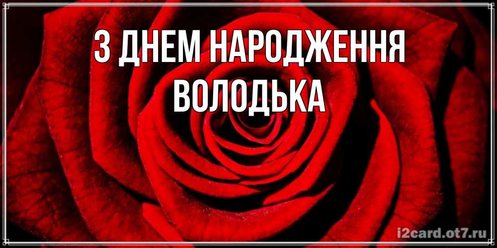 Открытка на каждый день з підписом, Володька З Днем народження алая роза Прикольна листівка з побажанням онлайн скачати безкоштовно 