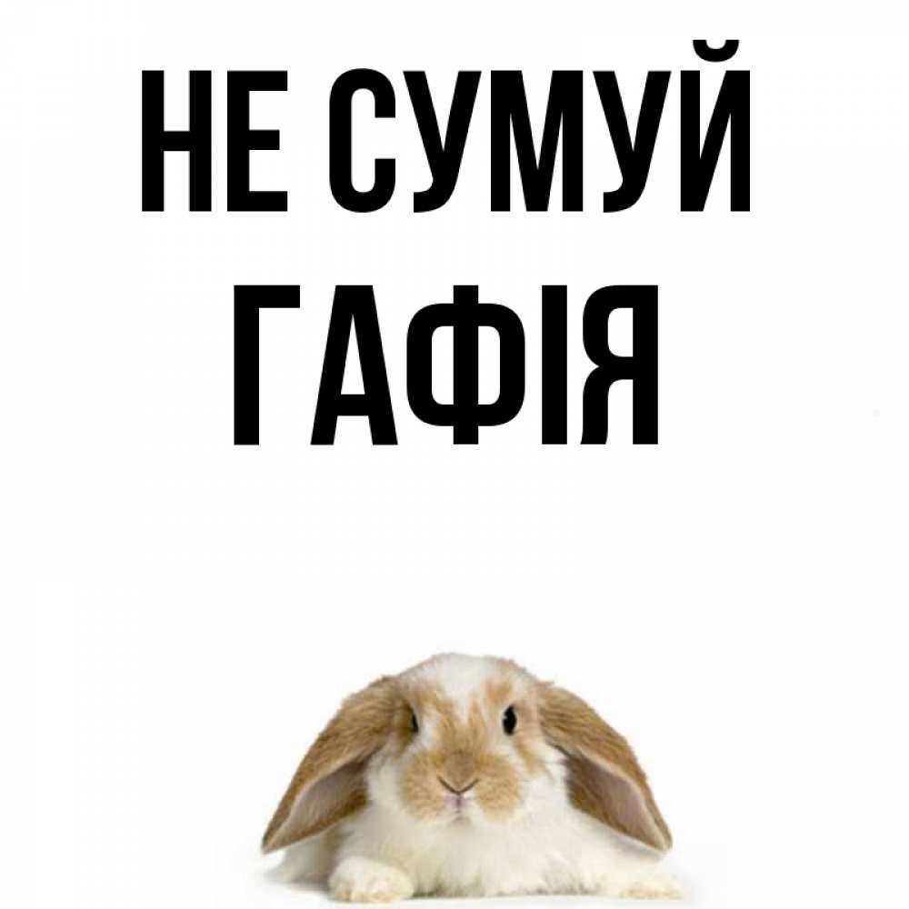 Открытка на каждый день з підписом, Гафія Не сумуй коричнево белый заяц с большими ушками Прикольна листівка з побажанням онлайн скачати безкоштовно 