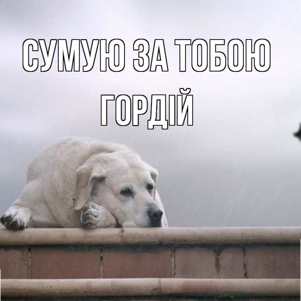 Открытка на каждый день з підписом, Гордій Сумую за тобою ждет Прикольна листівка з побажанням онлайн скачати безкоштовно 