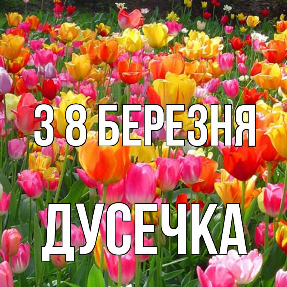 Открытка на каждый день з підписом, Дусечка З 8 БЕРЕЗНЯ на международный женский день Прикольна листівка з побажанням онлайн скачати безкоштовно 