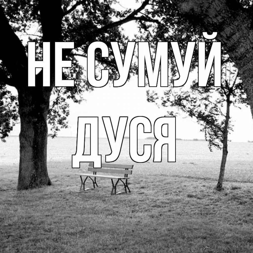 Открытка на каждый день з підписом, Дуся Не сумуй мощное дерево Прикольна листівка з побажанням онлайн скачати безкоштовно 