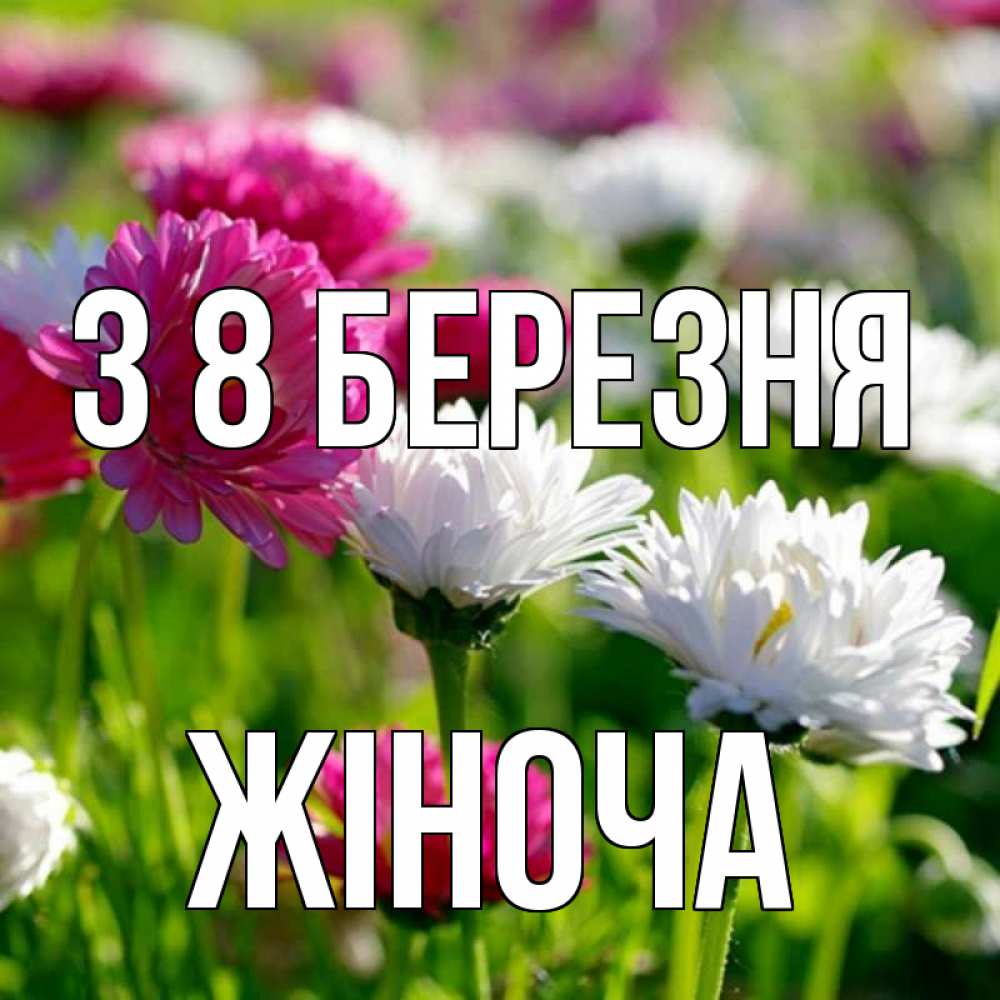 Открытка на каждый день з підписом, Жіноча З 8 БЕРЕЗНЯ международный женский день 1 Прикольна листівка з побажанням онлайн скачати безкоштовно 