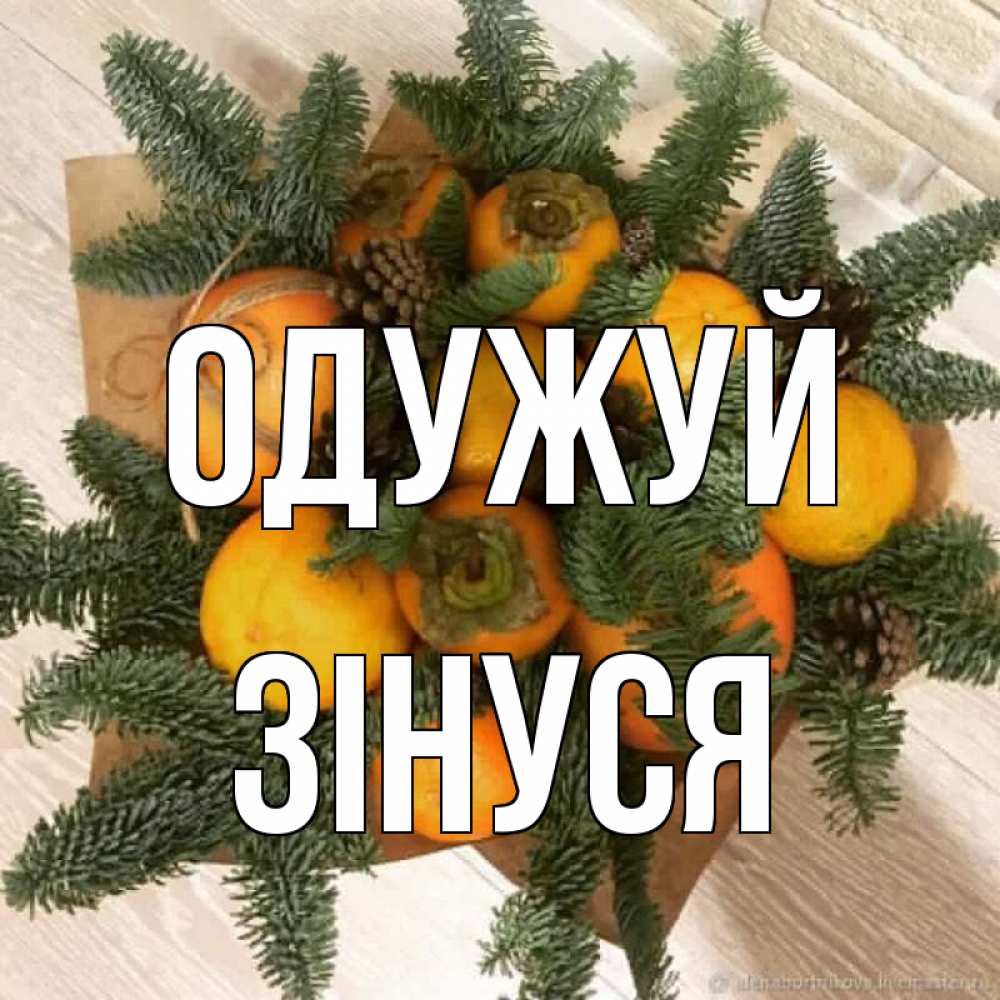 Открытка на каждый день з підписом, Зінуся Одужуй апельсины и хурьма Прикольна листівка з побажанням онлайн скачати безкоштовно 