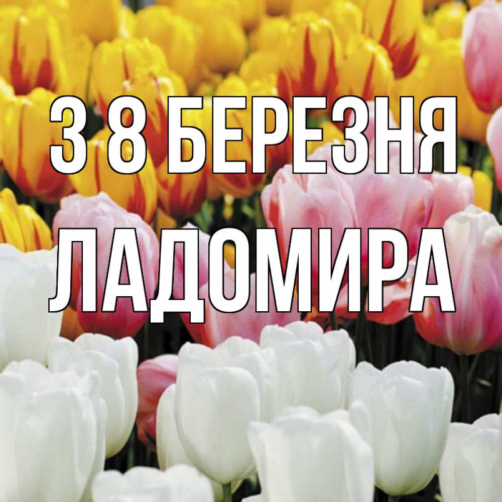 Открытка на каждый день з підписом, Ладомира З 8 БЕРЕЗНЯ разноцветные цветы Прикольна листівка з побажанням онлайн скачати безкоштовно 