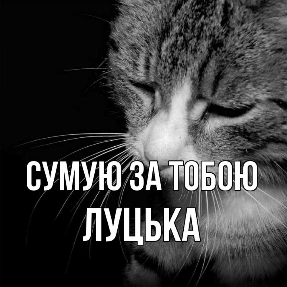 Открытка на каждый день з підписом, Луцька Сумую за тобою мне скучно Прикольна листівка з побажанням онлайн скачати безкоштовно 