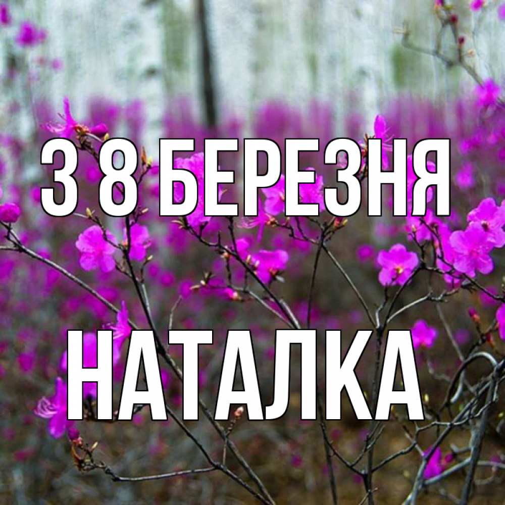 Открытка на каждый день з підписом, Наталка З 8 БЕРЕЗНЯ дикие цветы Прикольна листівка з побажанням онлайн скачати безкоштовно 