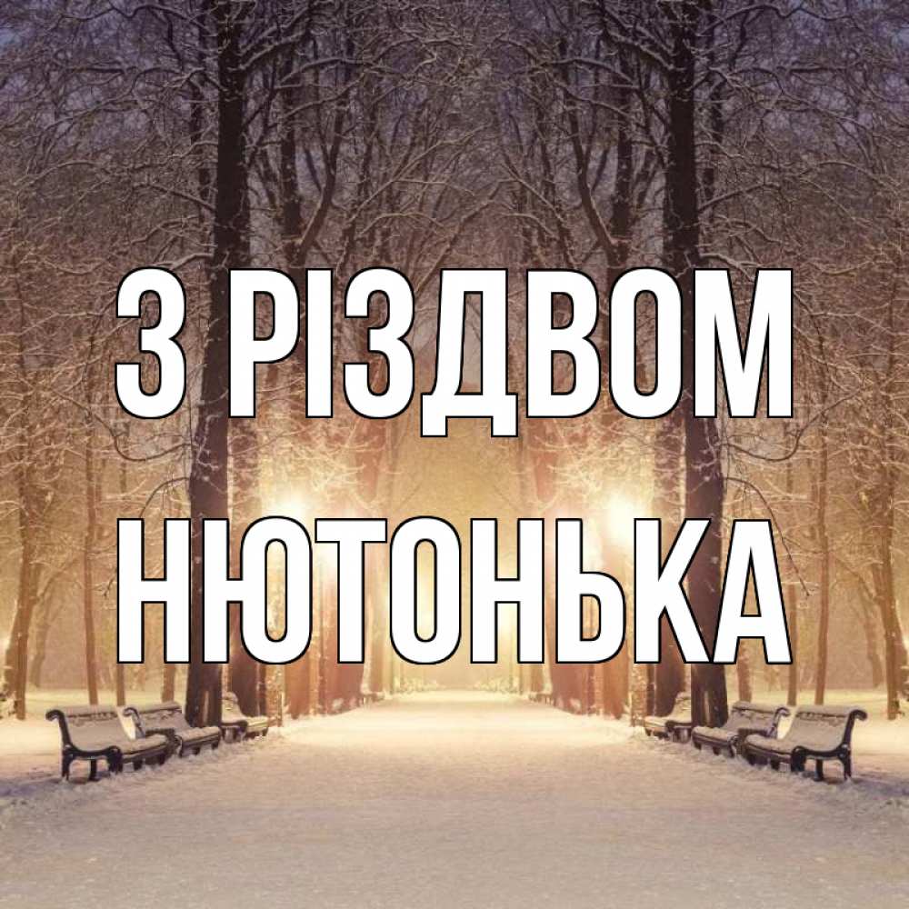 Открытка на каждый день з підписом, Нютонька З Різдвом зима, парк, фонарь, лес Прикольна листівка з побажанням онлайн скачати безкоштовно 