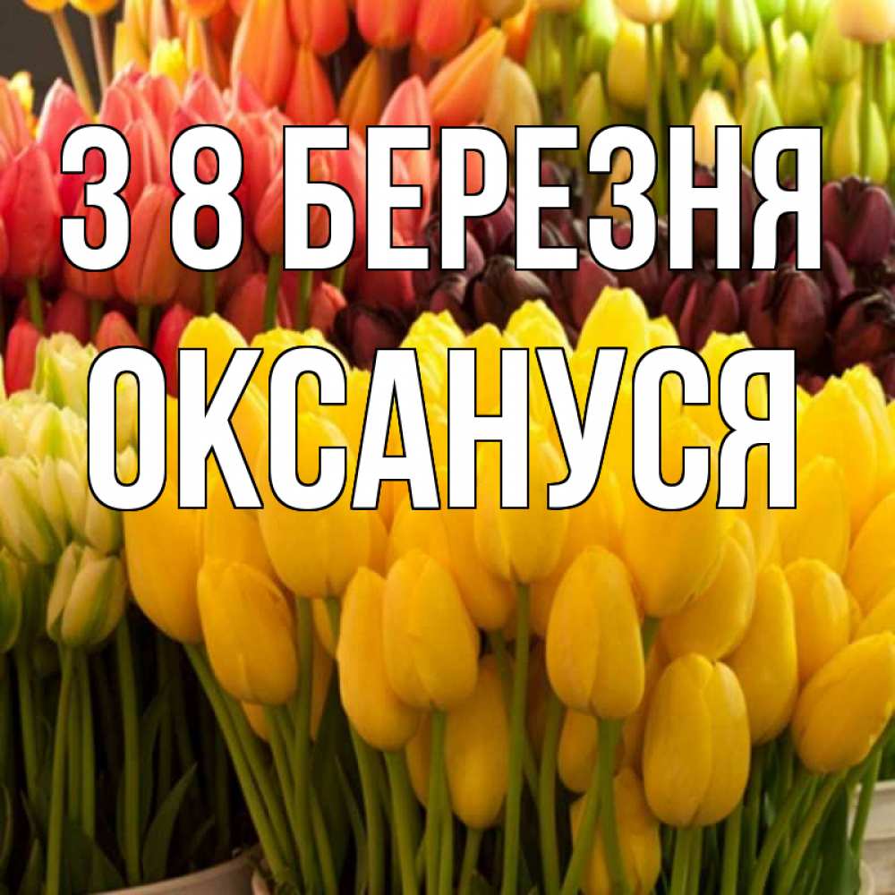 Открытка на каждый день з підписом, Оксануся З 8 БЕРЕЗНЯ цветы Прикольна листівка з побажанням онлайн скачати безкоштовно 