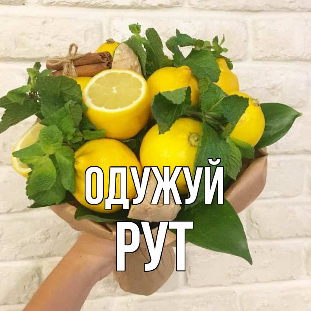 Открытка на каждый день з підписом, Рут Одужуй витамины Прикольна листівка з побажанням онлайн скачати безкоштовно 