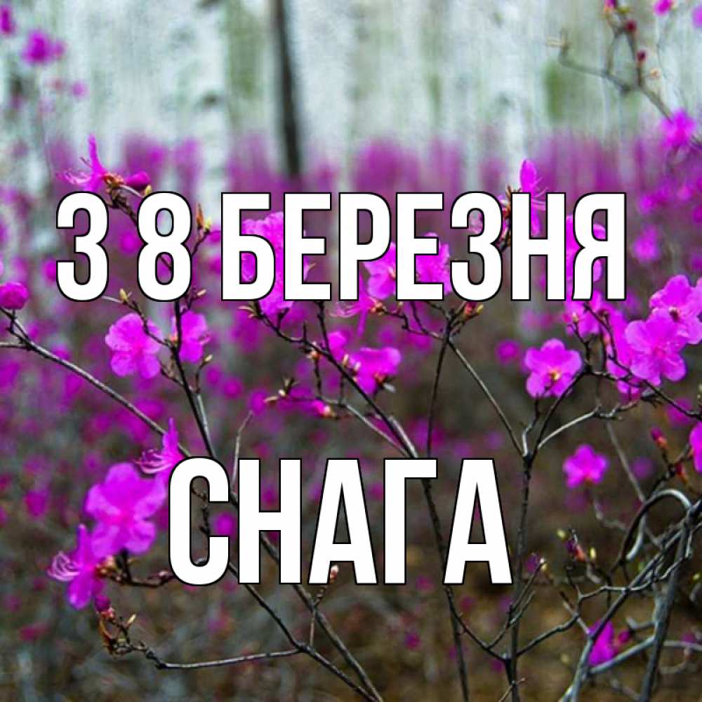 Открытка на каждый день з підписом, Снага З 8 БЕРЕЗНЯ дикие цветы Прикольна листівка з побажанням онлайн скачати безкоштовно 