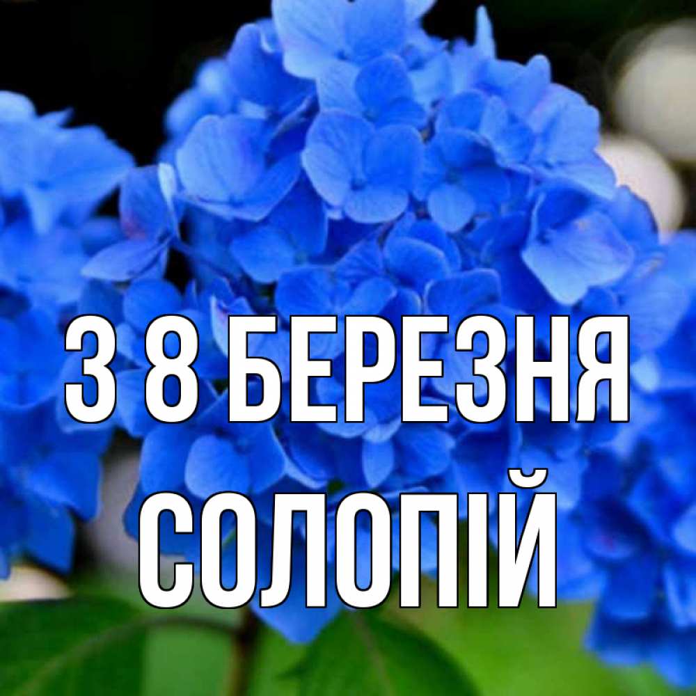 Открытка на каждый день з підписом, Солопій З 8 БЕРЕЗНЯ синие цветы Прикольна листівка з побажанням онлайн скачати безкоштовно 